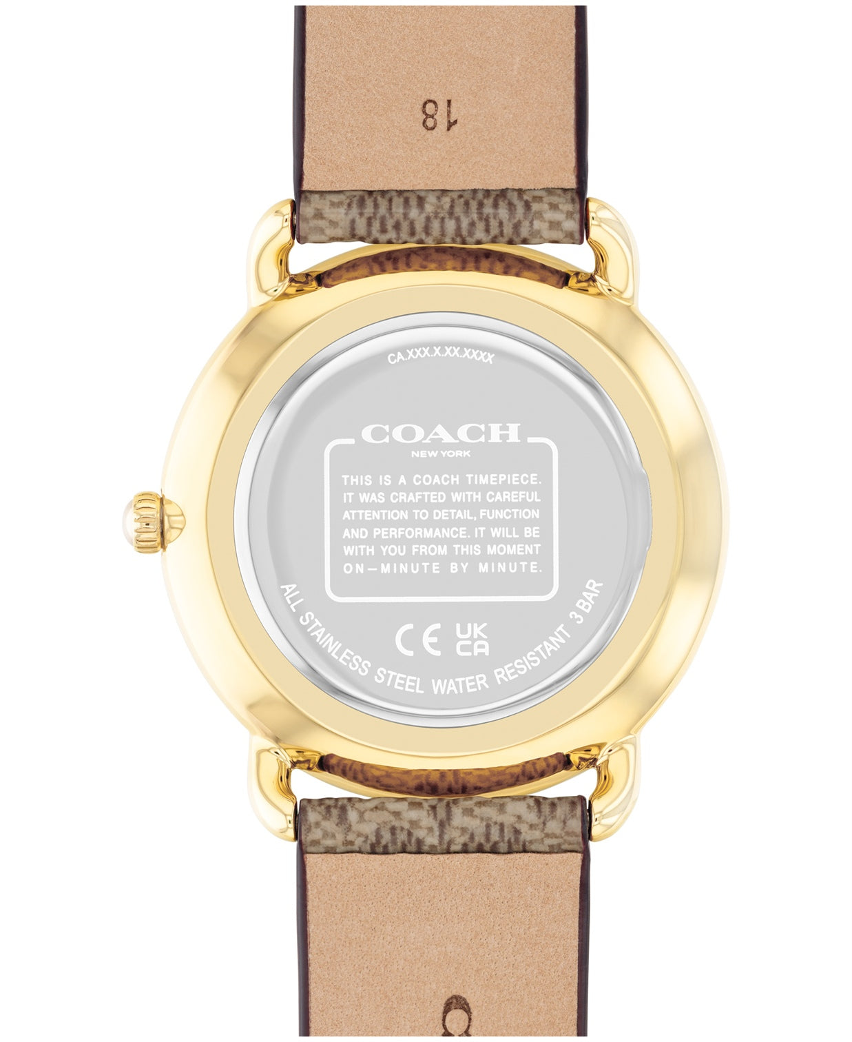 Elliot Women Quartz Silver Dial Analog Leather Watch