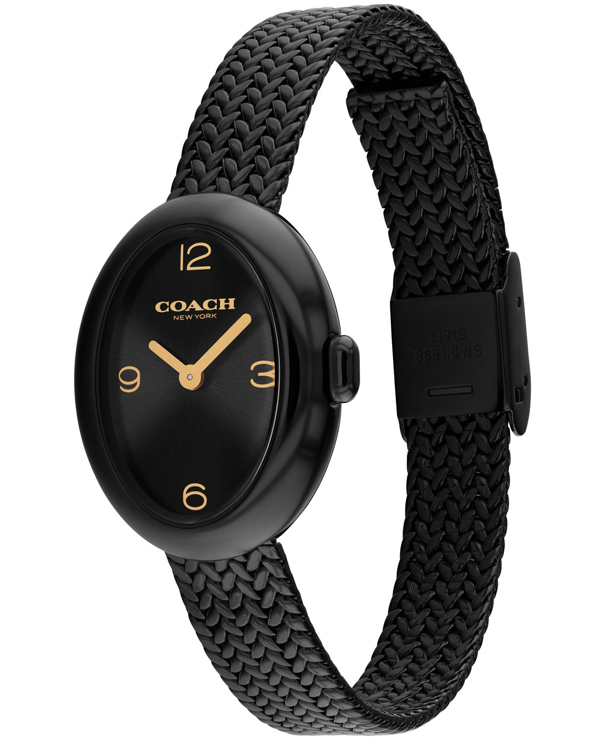Sammy Women Quartz Black Dial Analog Mesh Watch