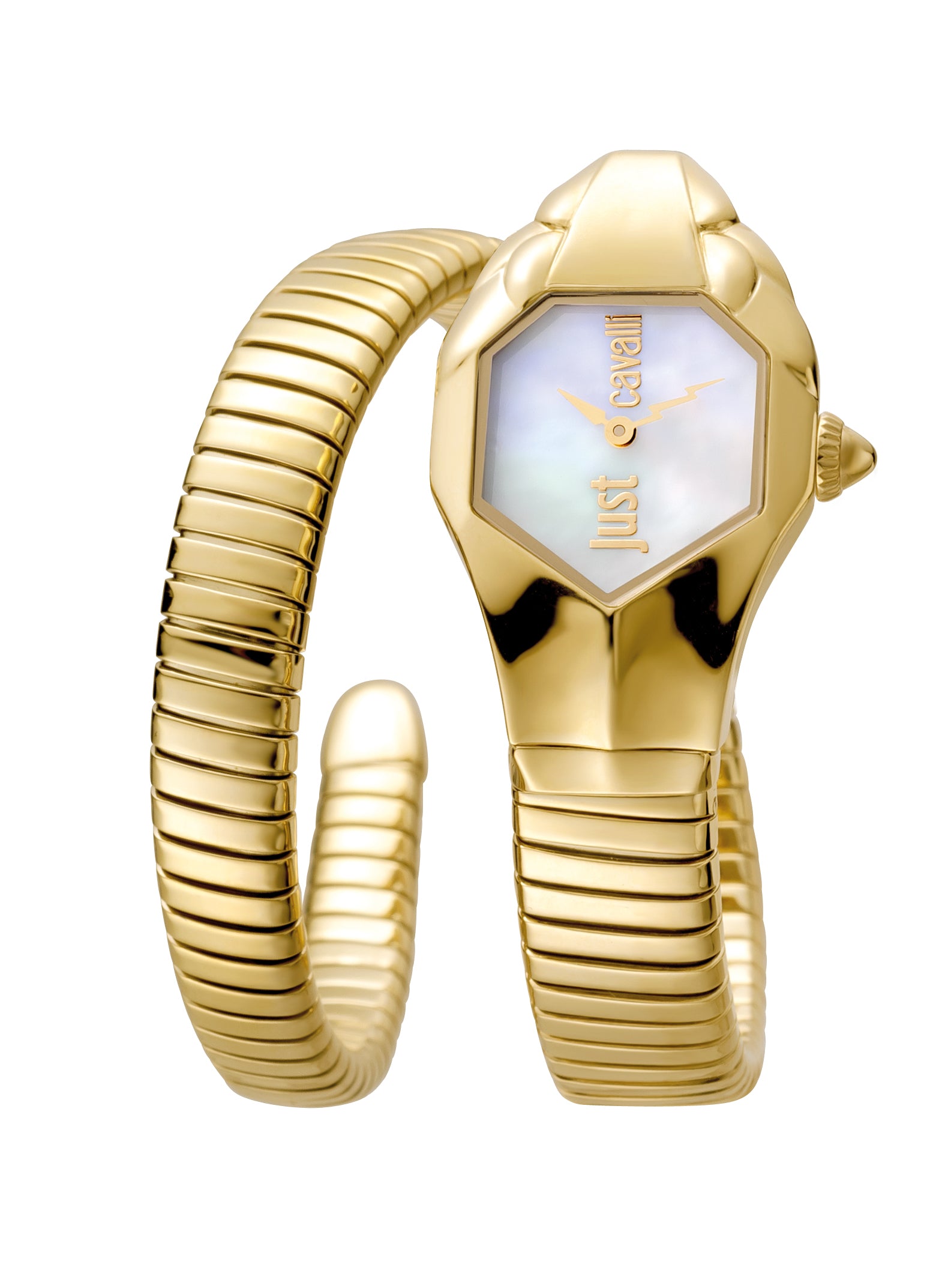 JC1L001M0025 Just Cavalli Glam DNA