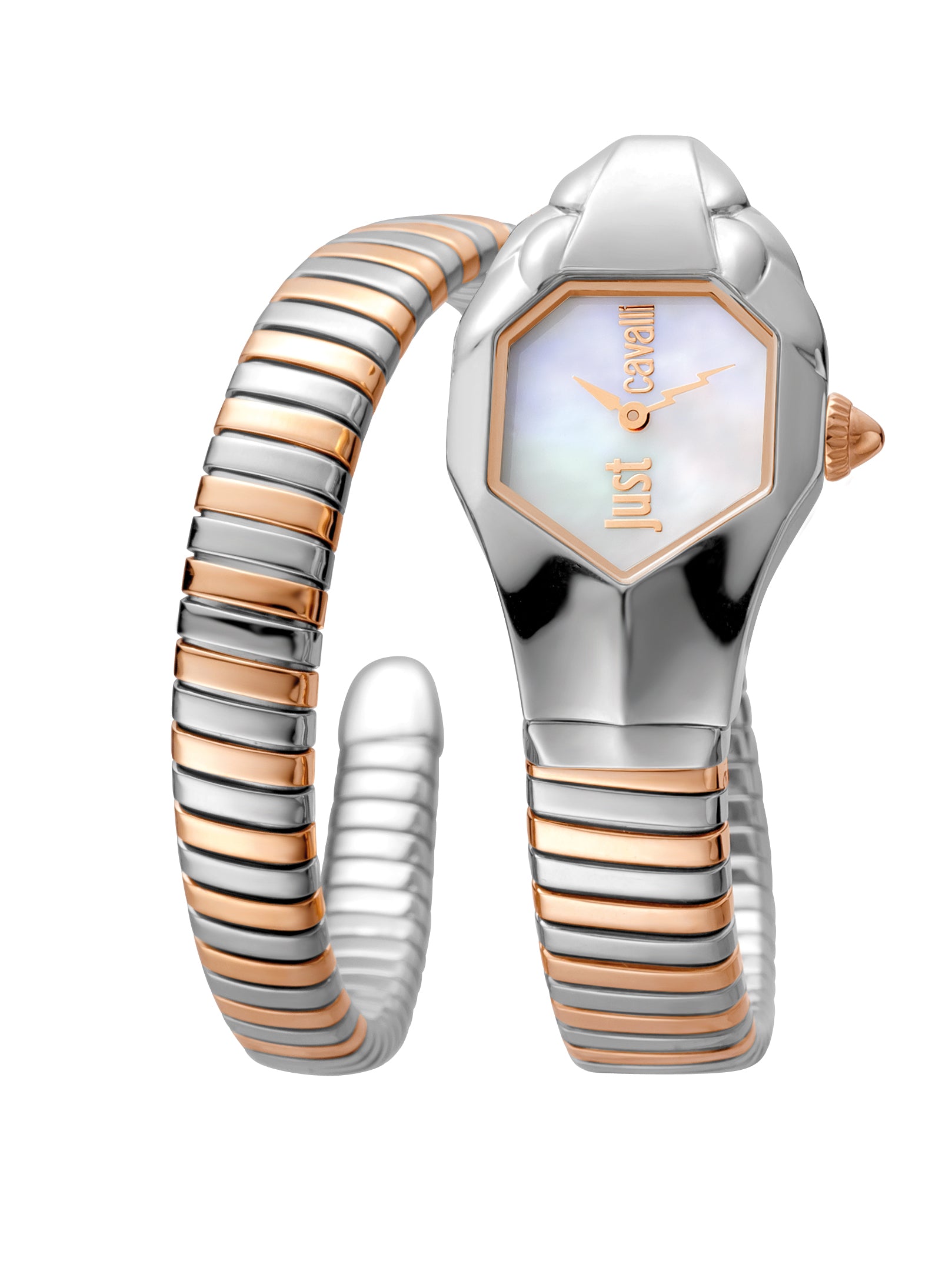 JC1L001M0045 Just Cavalli Glam DNA