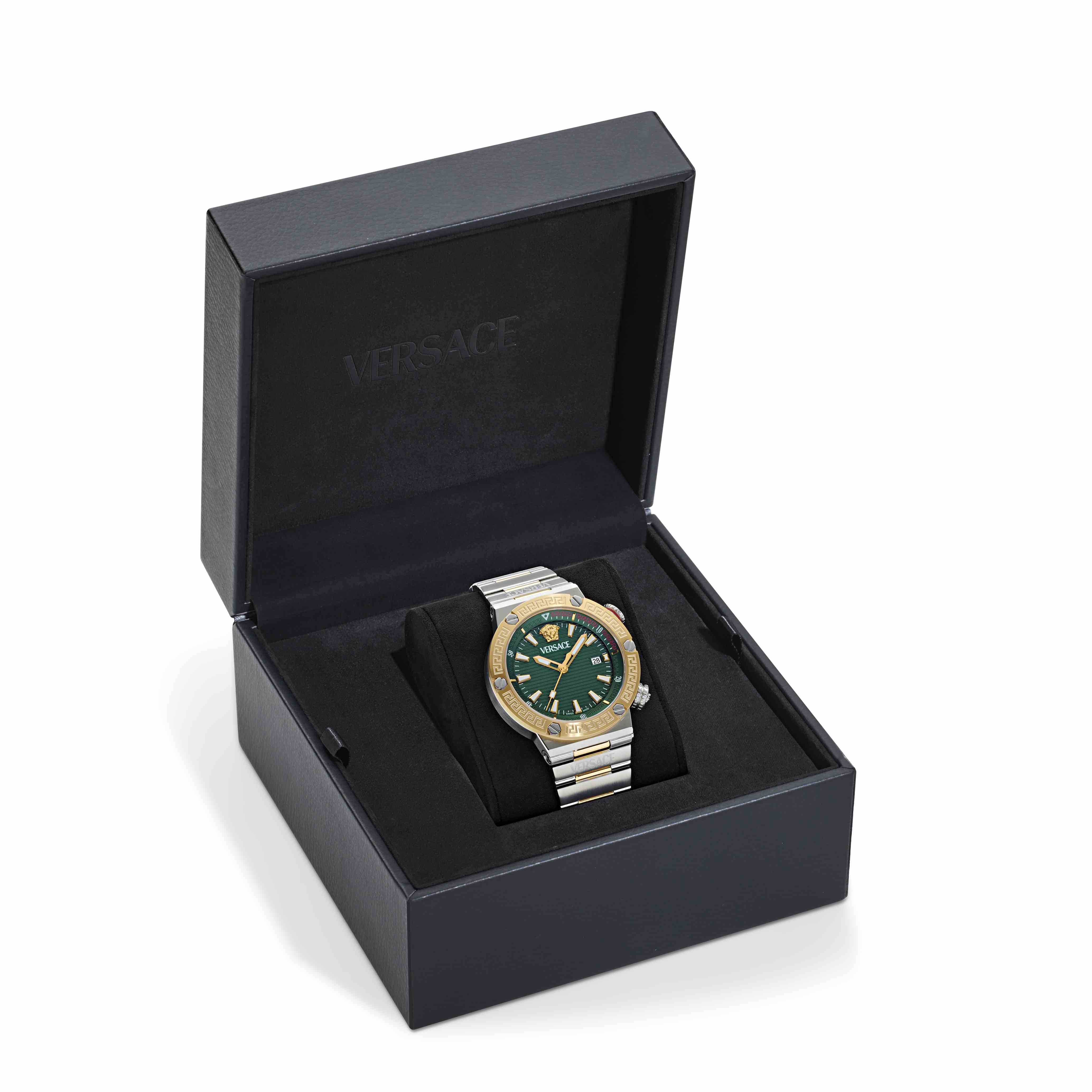 Greca Logo Diver
