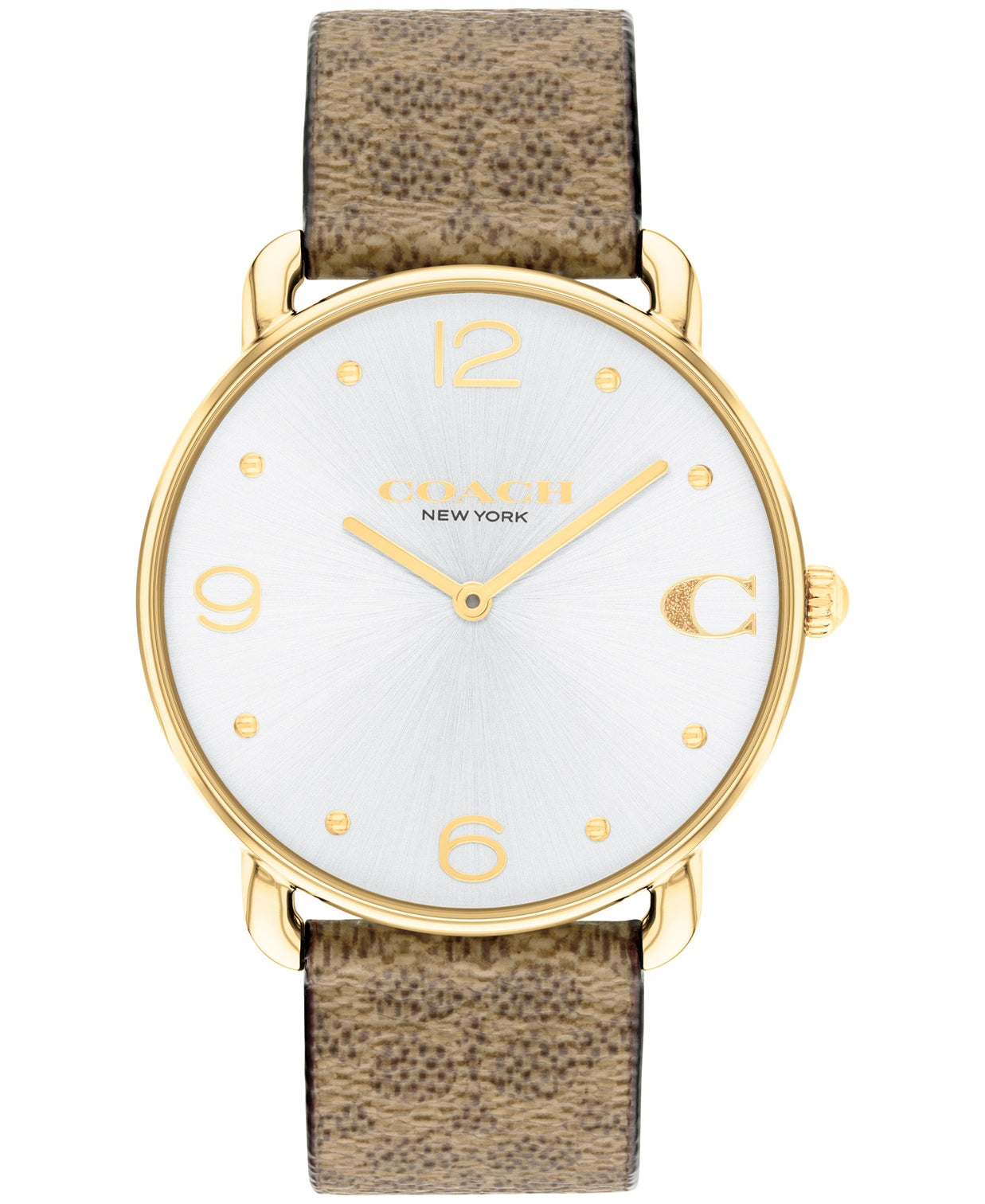 Elliot Women Quartz Silver Dial Analog Leather Watch