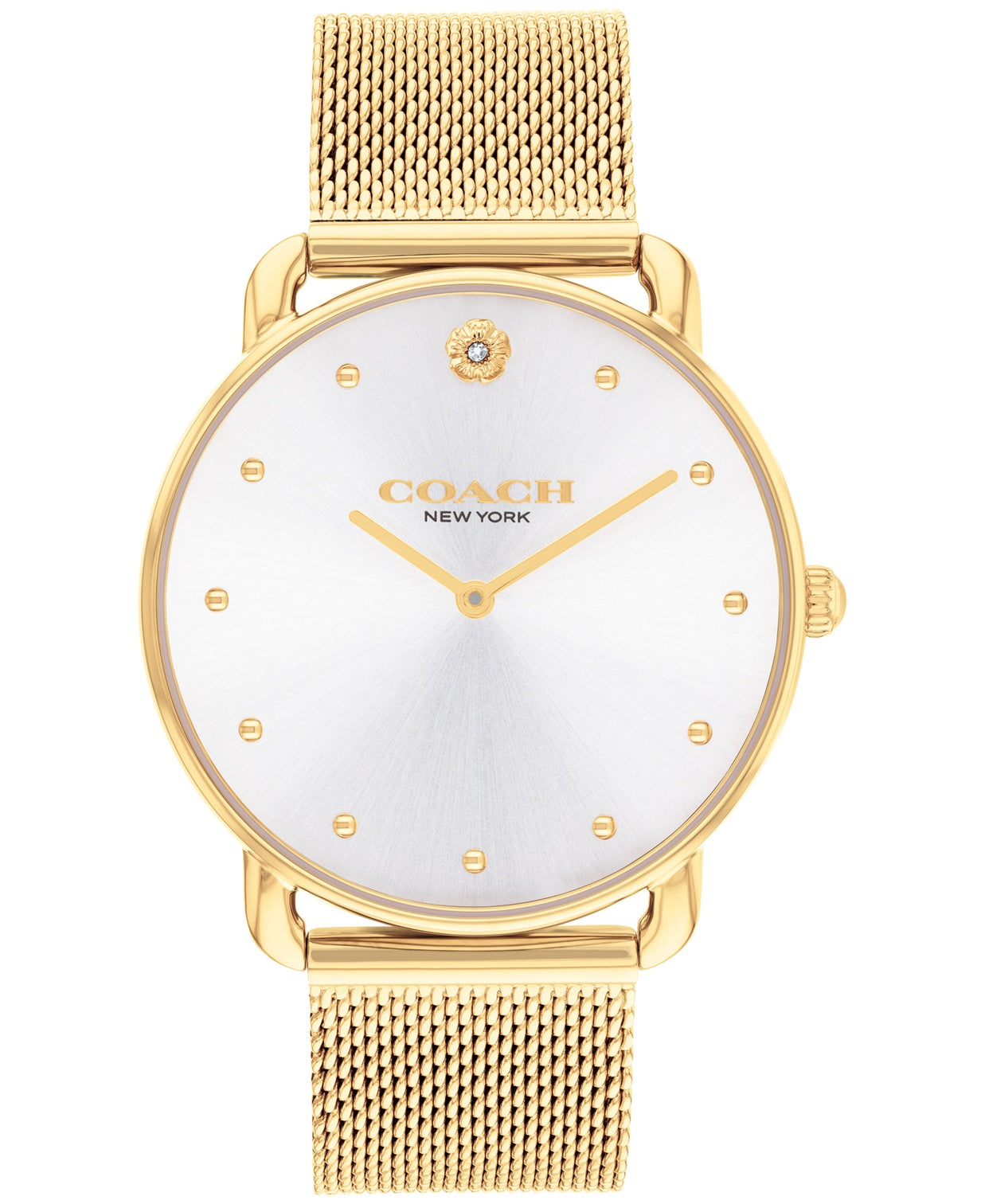 Elliot Women Quartz Silver Dial Analog Mesh Watch
