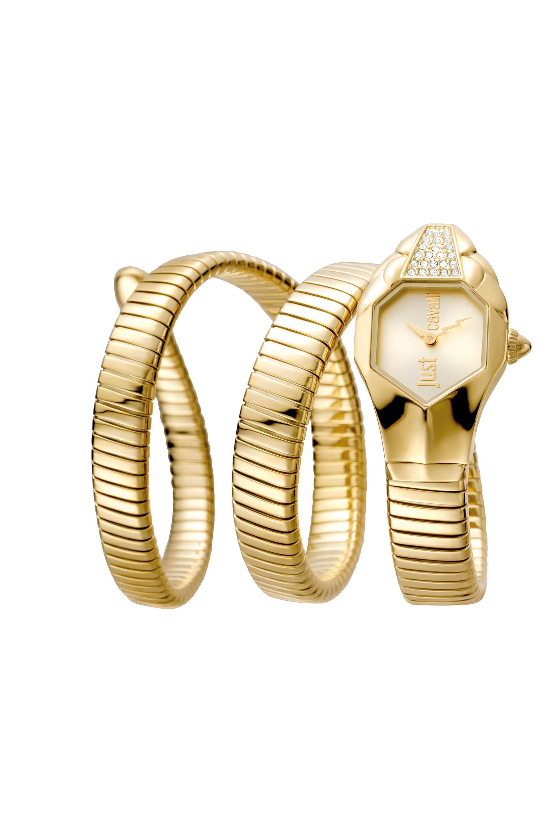 JC1L022M0025 Just Cavalli Glam DNA